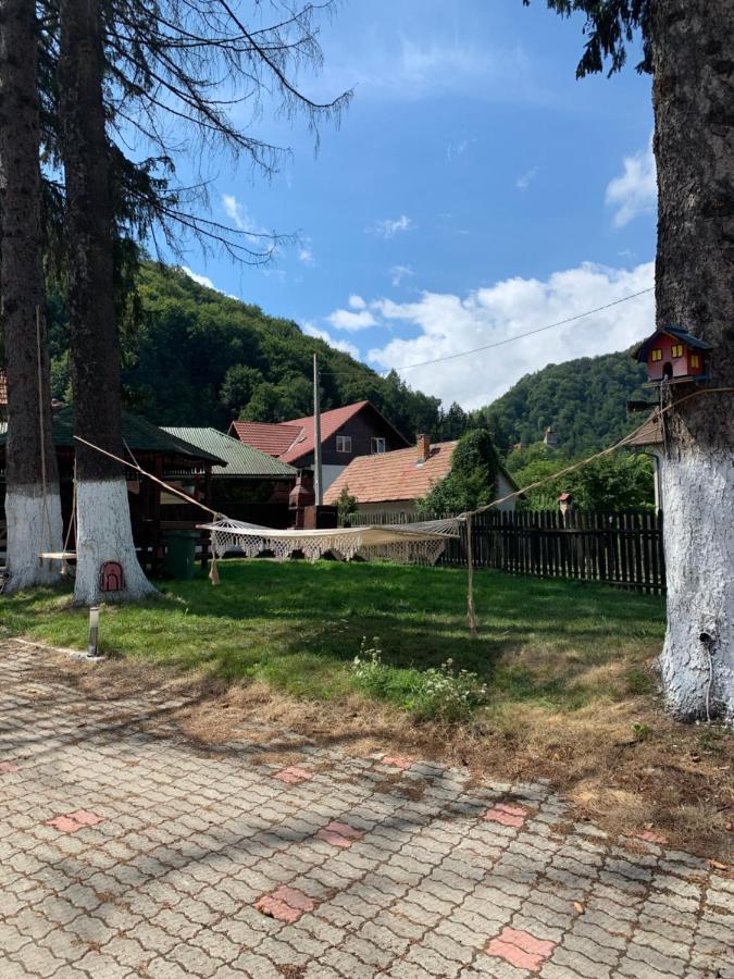 Vila Codreanu Bran  Exterior photo